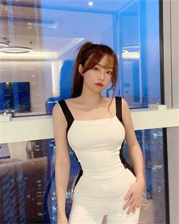 sw290图解剧情