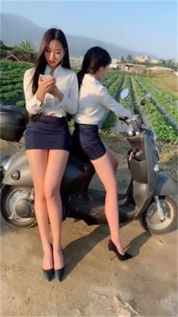 首领的纯洁小情人