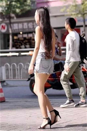 上错婚车苏卿与陆蓉渊