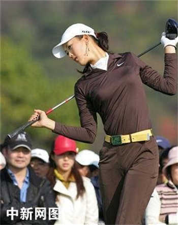 野草伊园甸免费查询