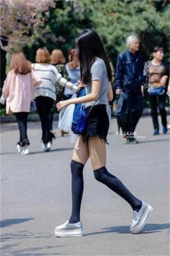 萌萝社下载