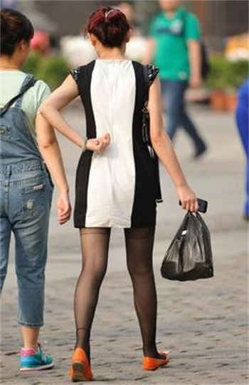 驯养by小秦子txt阅读