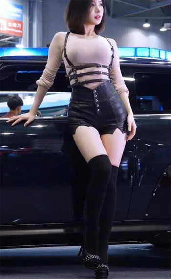 网页猫咪vip会员账号